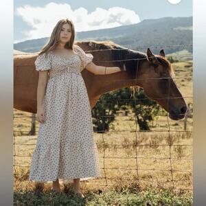 Neuflora Brookfield Dress Floral Print Puff Sleeves Empire Waist Smocked SZ L